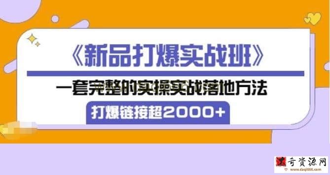 【凌童】《新品打爆实战班》,一套完整的实操实战落地方法，打爆链接超2000+（28节课)