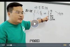 2023高级直播运营系统课