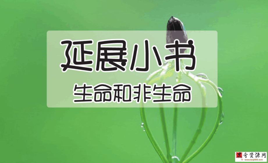 i陪娃科学合集（完结）