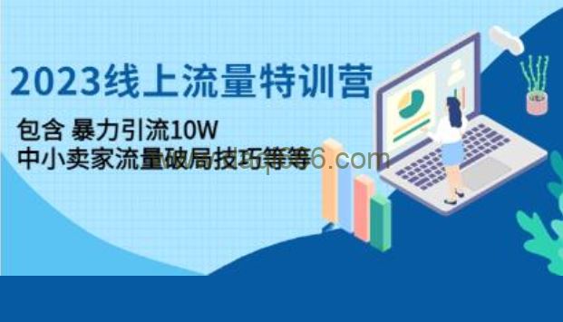 《线上流量特训营》暴力引流10W+中小卖家流量破局技巧等等