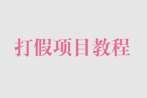 打假项目教程