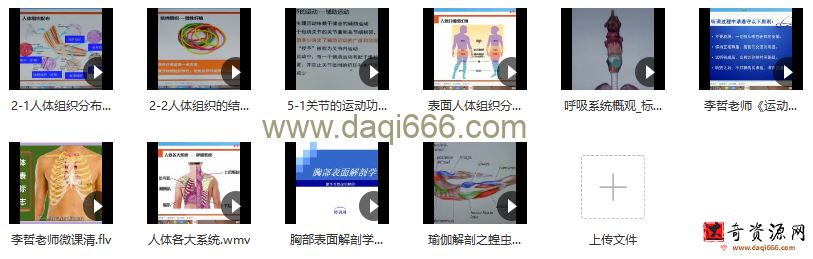 李哲老师讲人体组织和结构10集