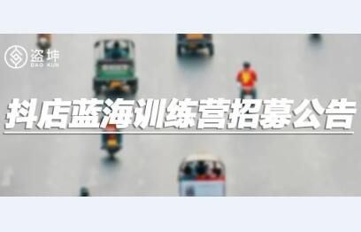 《盗坤·抖店蓝海训练营》
