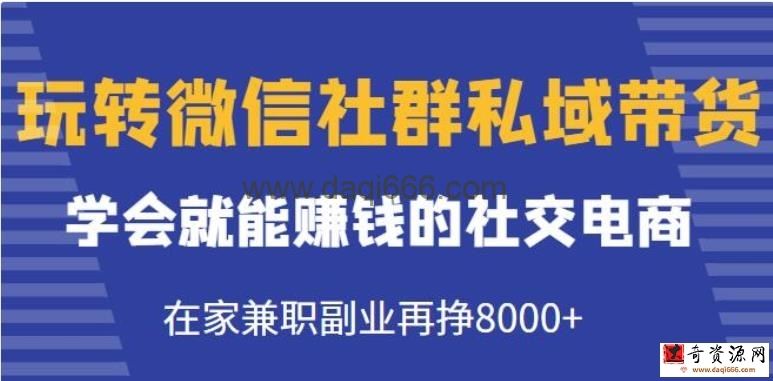 《玩转微信社群私域带货》学会就能赚钱的社交电商，在家兼职副业再挣8000+