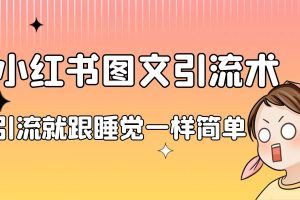 小红书爆款图文引流教程2.0+小红书单篇图文连爆秘籍