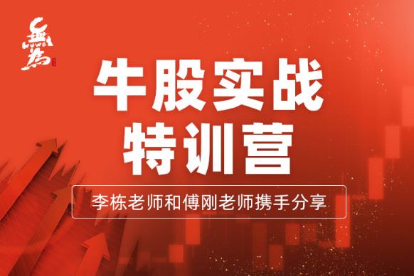 《无为金融-【牛股实操特训营】（1N）】