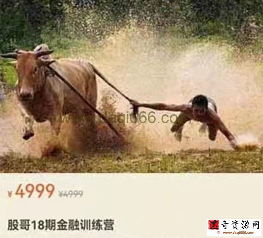 只会炒股 股哥训练营 第十八期 股哥18期