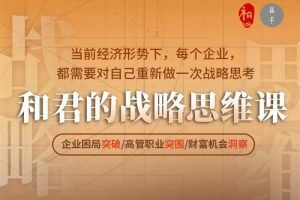 和君的战略思维课－企业困局突破/高管职业突围/财富机会洞察