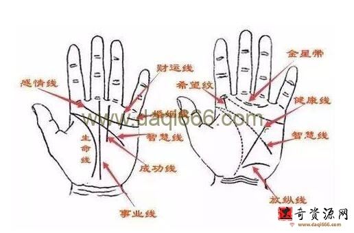 《传统手相结合西方占星理论》零基础入门到精通，真人案例