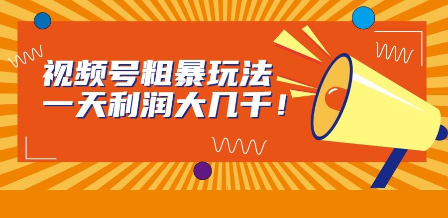 视频号粗暴玩法，一天利润大几千！