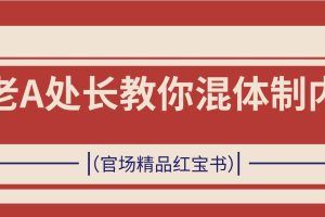 老A处长教你混体制内（官场精品红宝书）