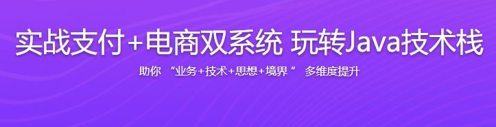 实战支付+电商双系统 玩转Java技术栈