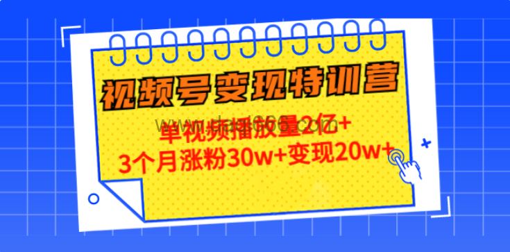 20天视频号变现特训营：单视频播放量2亿+3个月涨粉