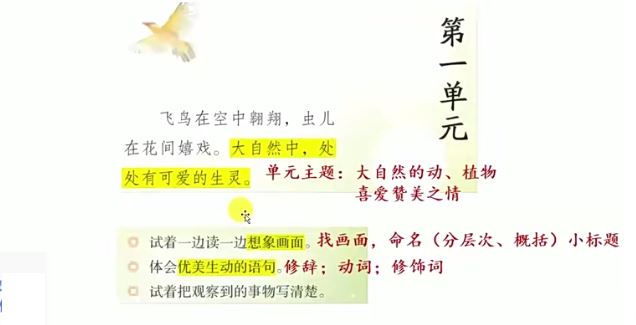 【完结】孙老师的翻书课（3-6年级）