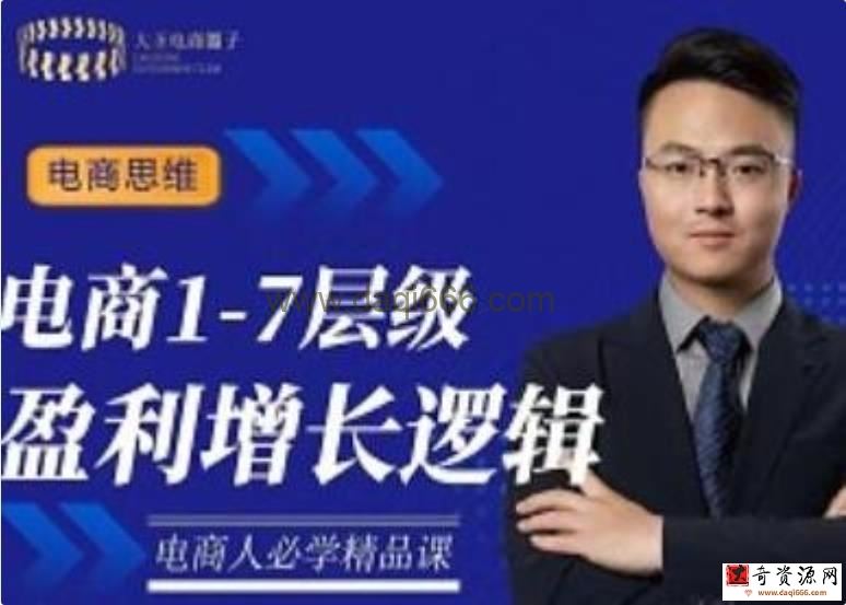 大圣《电商1-7层级盈利增长底层逻辑课》让你掌握电商盈利的底层逻辑