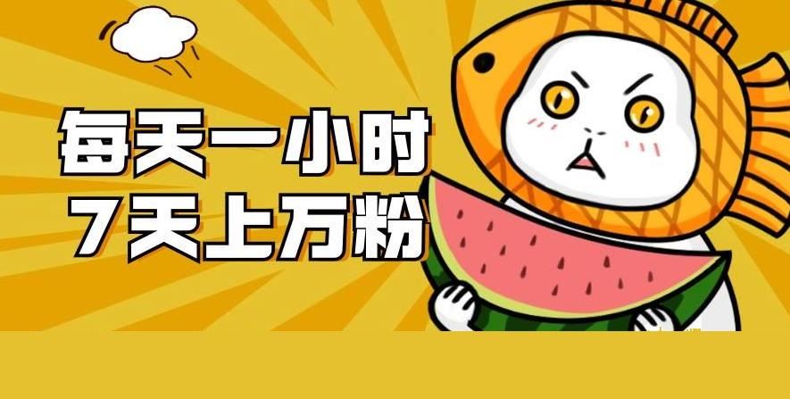 暴力涨粉项目：每天一小时，七天上万粉【揭秘】