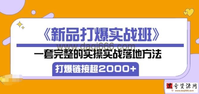 凌童《新品打爆实战班》,一套完整的实操实战落地方法，打爆链接超2000+（28节课)