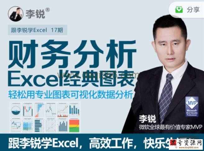 十七期：李锐Excel财务分析经典图表