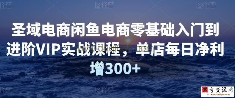 【圣域电商】闲鱼电商零基础入门到进阶VIP实战课程