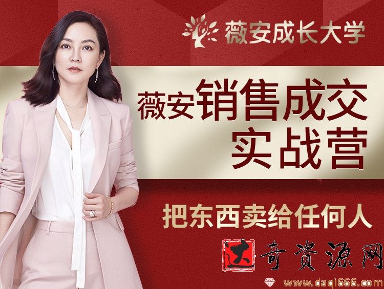 薇安28天销售高手训练营（完结）