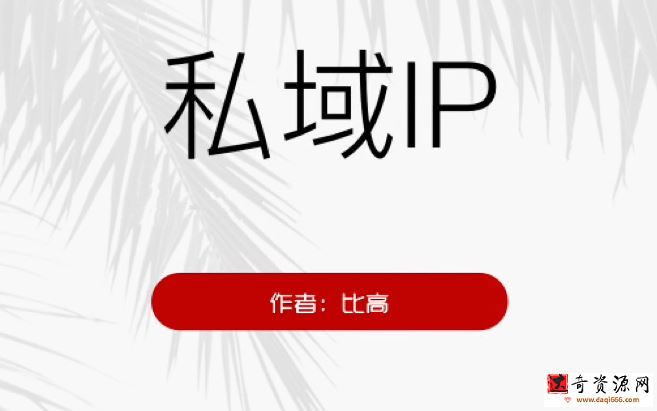 比高·私域IP引流变现