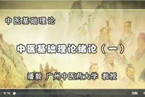 中医基础理论：潘毅主讲-广州中医药大学（111讲完整版）