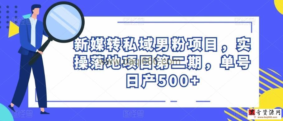 新媒转私域男粉项目，实操落地项目第二期，单号日产500+