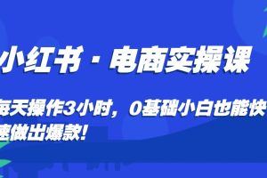 小红书·电商实操课：每天操作3小时，0基础小白也能快速做出爆款！