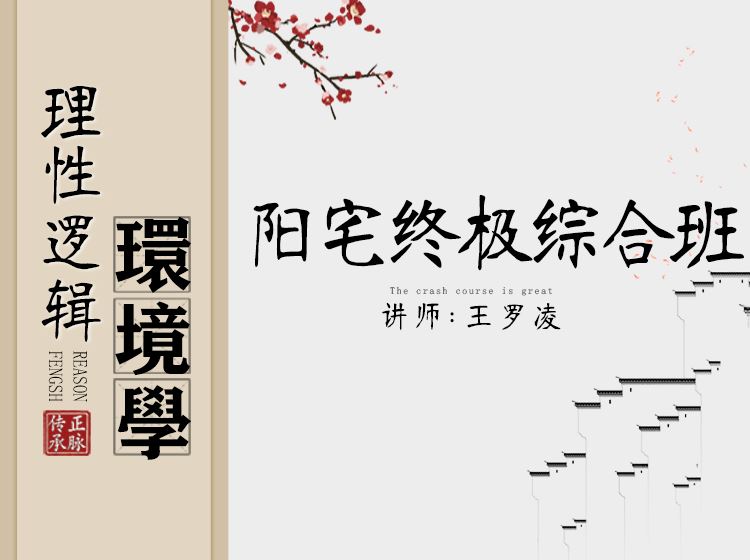 【199【王罗凌说】理性逻辑环境学终极综合班】