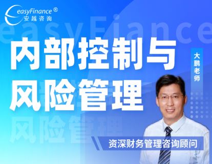 《安越咨询-内部控制与风险管理》