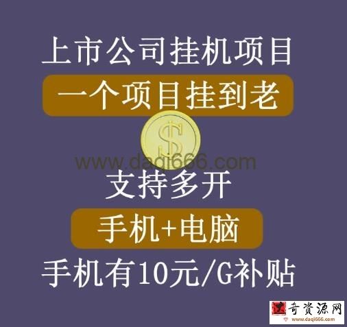 【上市公司】睿思挂机项目，一个项目挂到老，支持手机+电脑+虚拟机多开
