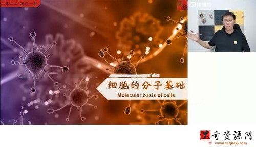 猿辅导2022高考高三生物张鹏a+暑假班（完结）