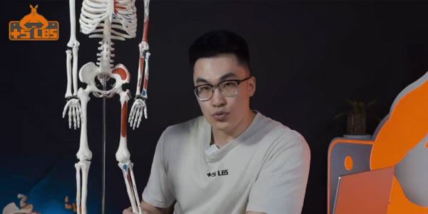 做自己的康复师之骨盆、脊柱系统