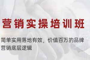 营销实操培训班：简单实用落地有效，价值百万的品牌营销底层逻辑