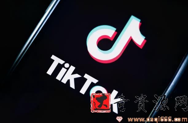 龟课·TikTok变现实战训练营线上第4期，0基础教你搬运视频，获得热门赚美金！