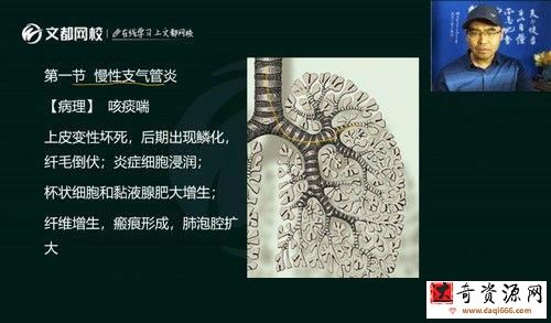 文都2022考研西医临综基础夯实课程内科学（含诊断学）