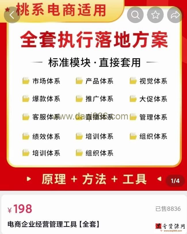 外面卖198电商企业经营管理工具：全套执行落地方案标准模块直接套用