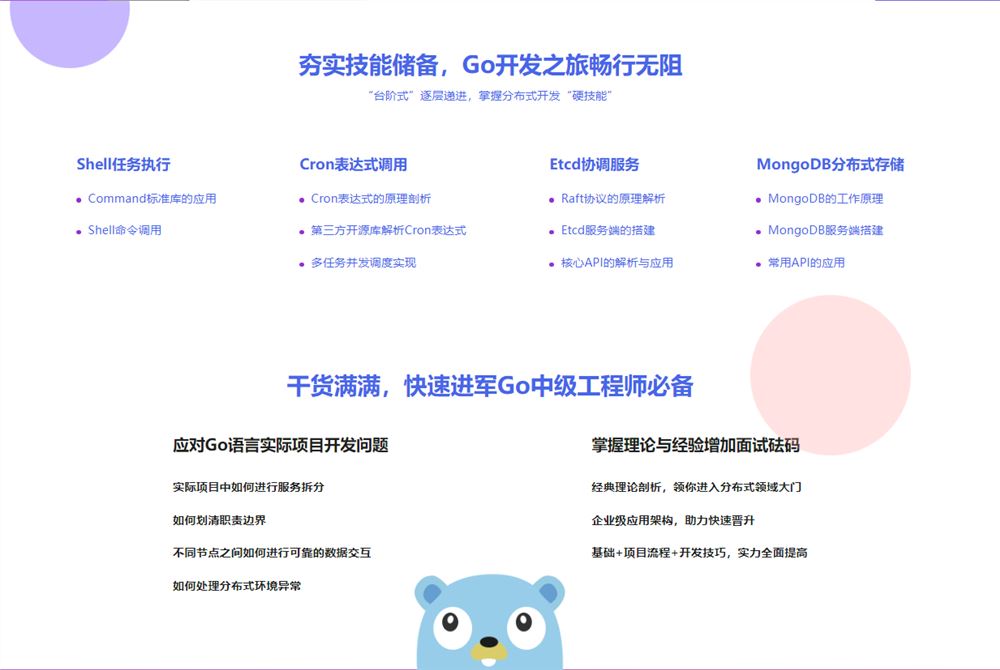 【高端IT计算机技术类会员】 【D0281 慕课网-Go语言开发分布式任务调度 轻松搞定高性能Crontab-IT】