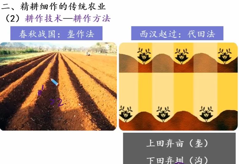 徐爱华 2019寒 高一历史直播菁英班 7讲完结