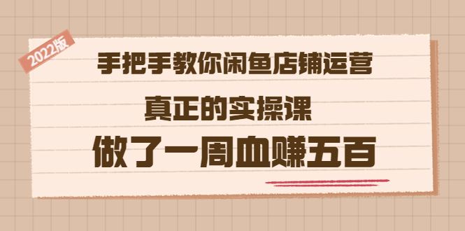 2022版《手把手教你闲鱼店铺运营》真实的实操课 做了一周血赚五百 (16节课)