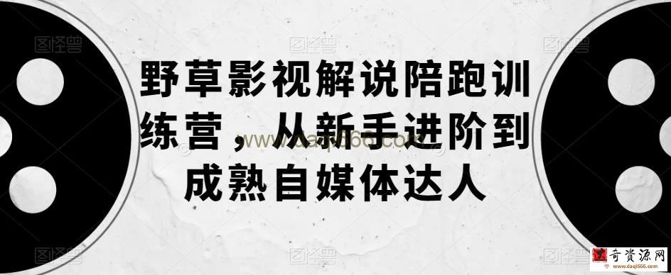 野草影视解说陪跑训练营，从新手进阶到成熟自媒体达人