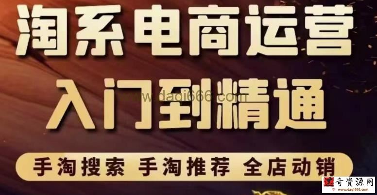 淘系电商入门到精通手淘搜索，手淘推荐，全店动销（价值1099元）