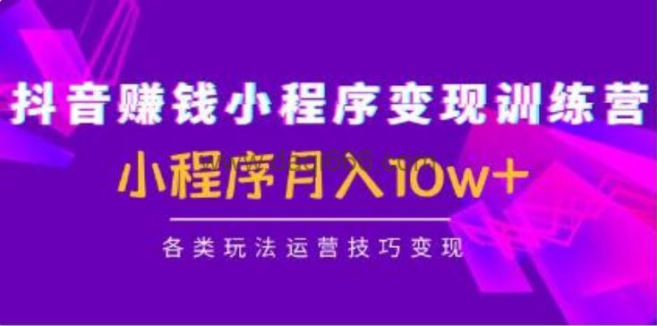 《抖音赚钱小程序变现训练营》小程序月入10w+各类玩法运营技巧变现