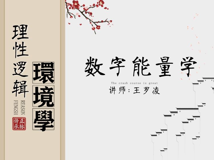 【【王罗凌说】数字能量课】