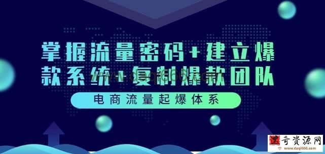电商流量起爆体系：掌握流量密码+建立爆款系统+复制爆款团队（价值599）
